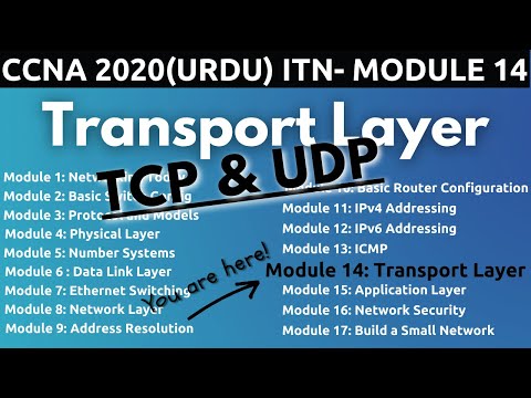 Transport Layer (Layer 4, TCP UDP & Port no.) | ITN - Module 14 | FREE CCNA 200-301 (Urdu/Hindi)