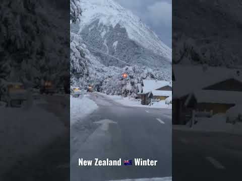 New Zealand 🇳🇿 Winter | Arthur’s Pass |iPhone12 video