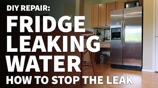 Fridge Leaking Water on Floor – How to Repair Refrigerator Leaking on Floor