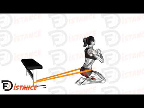 Exercice Hip Thrusts sur les genoux