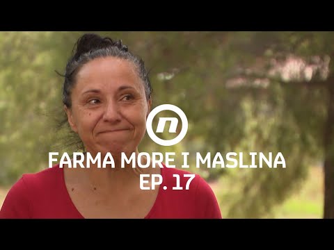 Borba za sinove - Epizoda 17 | Farma More i Maslina