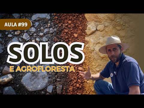 Aula #99 – Como trabalhar em diferentes tipos de solos