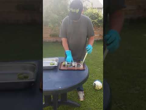 Nussmaschine Anwendung