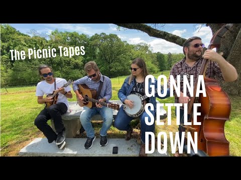 Gonna Settle Down | THE PICNIC TAPES