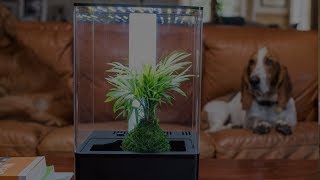 EcoQube Air Desktop Greenhouse - Premium UV