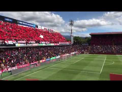 "Mosaico Liga Deportiva Alajuelense final 2018-4K" Barra: La 12 &bull; Club: Alajuelense