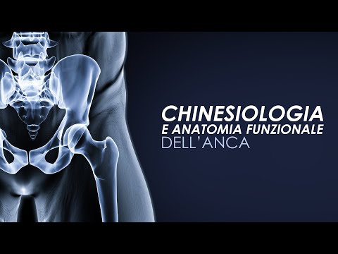 CHINESIOLOGIA dell'ANCA