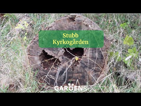 Stubbkyrkogården - Trädgårdshacks med GardenR