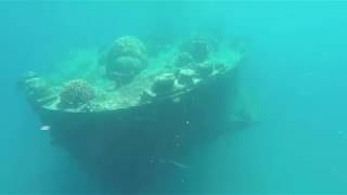 The Wreck of The Terushima Maru