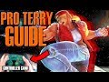 Pro TERRY Character Guide W Controller Cam INPUTS SHOWN