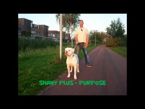Shanty Plus - Purpose (Forever Loving Jah Riddim)