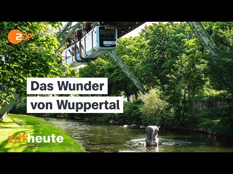 Elefant Tuffi und der Sprung aus der Schwebebahn