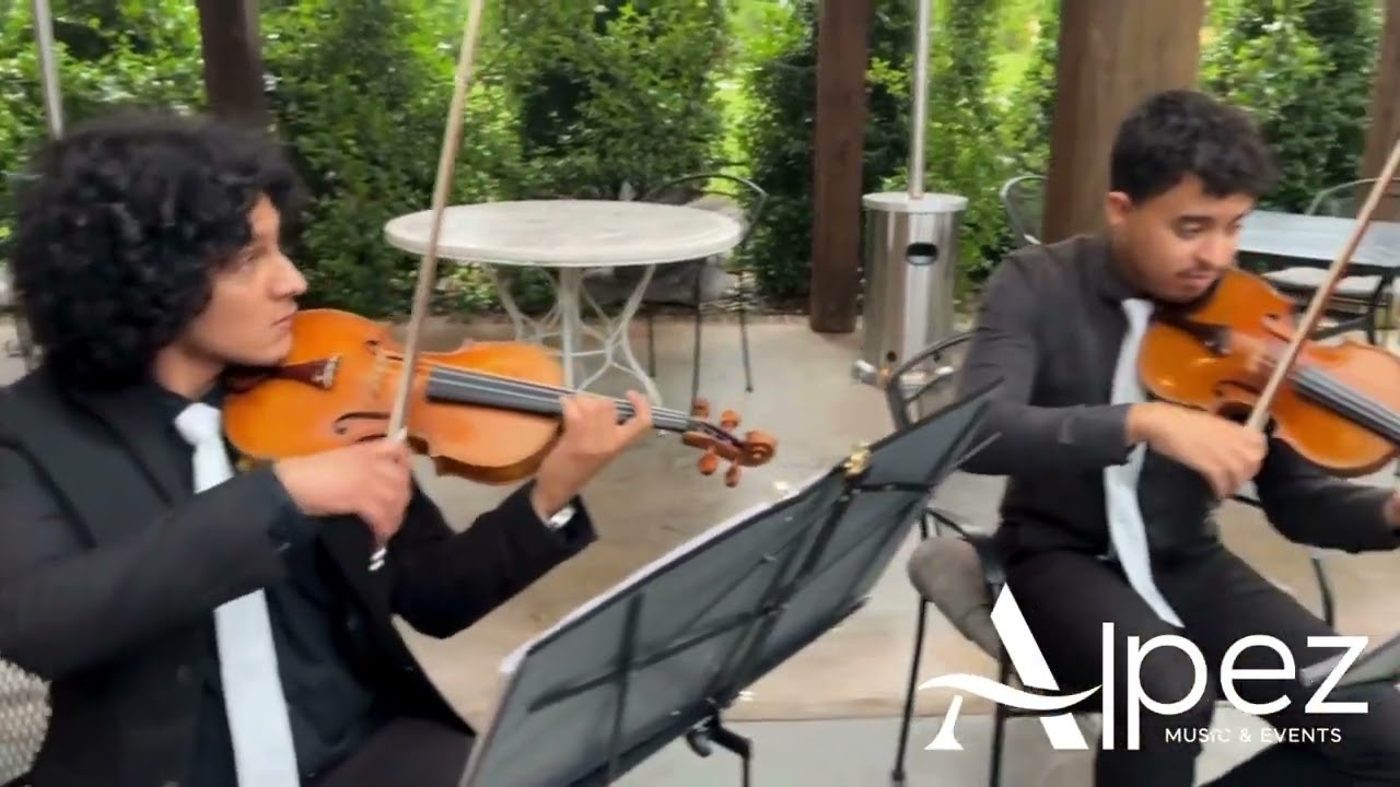 Promotional video thumbnail 1 for Alejandro's Violín Covers