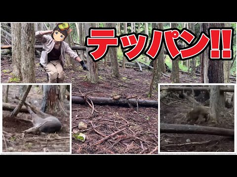 地下罠猟師発見