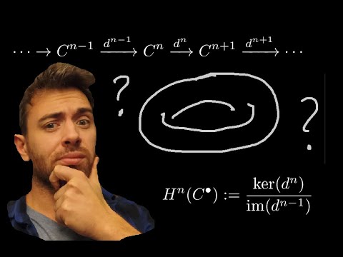 What, and why, is coHomology