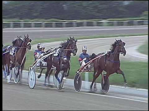 Trotto 29/05/2016 - 6° corsa