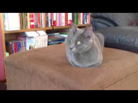 Gem and Jaydee 18-11-12