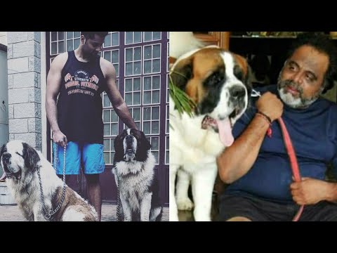ಒಡೆಯನನ್ನು ಸೇರಿದ ಕನ್ವರ್ | Ambresh's Dog left us to join his beloved master above
