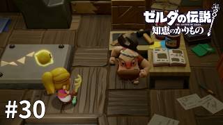 ゼルダの伝説 知恵のかりもの #30【一級からくり技師ダンペイ】
