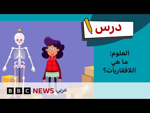 فيديو | درس العلوم: اللافقاريات وأنواعها - الحلقة 9