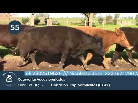 Lote Vc Con GP - Cap Sarmiento Bs As