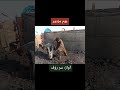 Youm E Mazdoor Labour Day Trending Viral Foryou Mazdoor Youmemazdoor