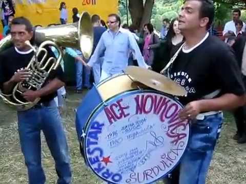 Aca Novković - Vlasinka na pručku