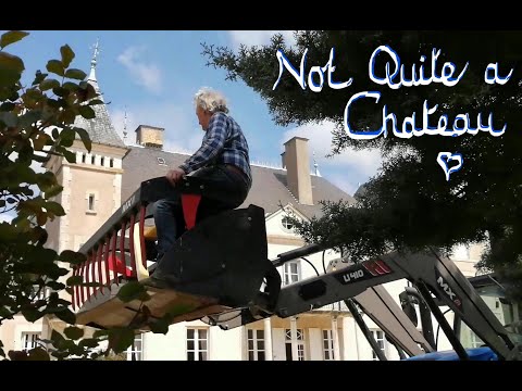 Not Quite a Chateau DIY 70 - A Gator - A Gun - A Good Day's Work - A Musical Vine? -  and a Pinot