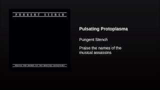 Pulsating Protoplasma