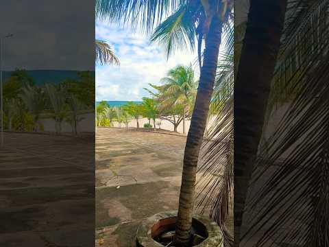 “Em 19 segundos, Deus fala com você!” #palavrasdefé #natureza #shorts #viral #fe