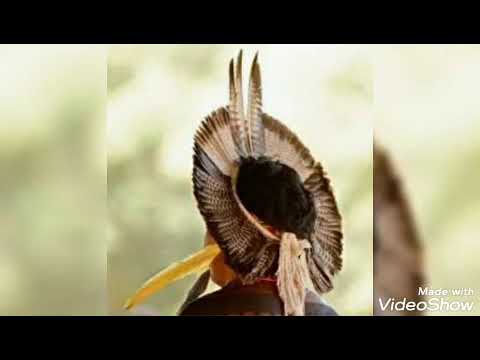 Eu sou um índio - Tombo de Caboclo - Candomblé de Angola - Danilo Reis Mulundeuanda