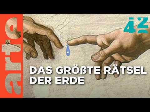 Wie schafft Wasser Leben? | 42 - Die Antwort auf fast alles | ARTE