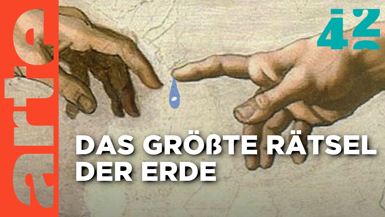 Wie schafft Wasser Leben? | 42 - Die Antwort auf fast alles | ARTE