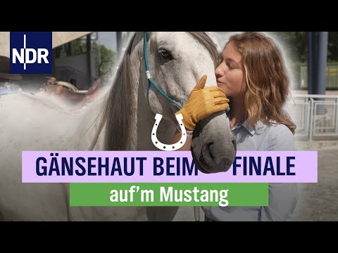 Aufregung pur: das Finale der Mustangs beginnt | Folge 18 | NDR auf'm Land
