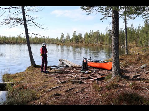 Discover Sweden’s Untamed Beauty | Canoe Adventure in Rogen