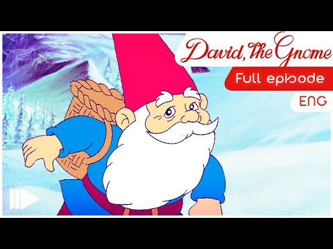 David the Gnome - 16 - A lesson to the gnome Kostia | Full Episode |