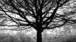 Living Sacrifice - Bloodwork