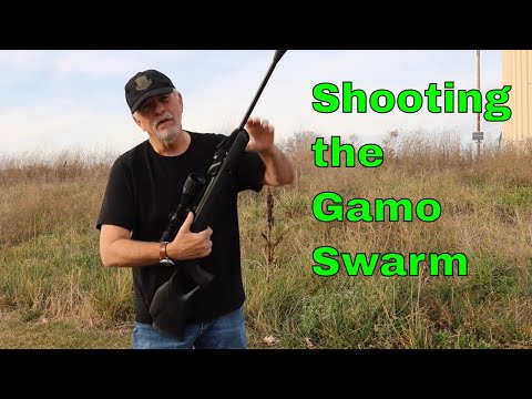 6 Minute Review: Shooting the Gamo Swarm 10x Gen 2
