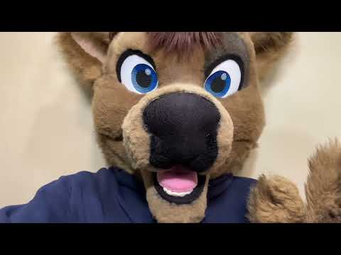 Renton Reflects — The House (2022)