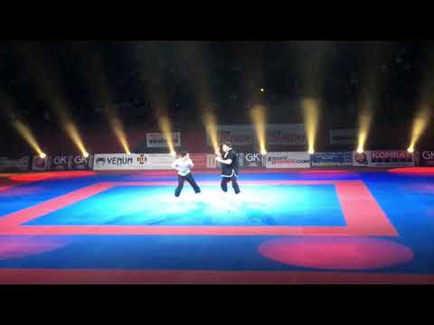 Paris Bercy Martial Arts Festival Urban Combat JKD Demonstration | Jeet Kune Do |