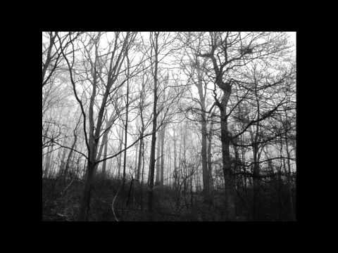 Frog Pocket - Zippy Dressnga