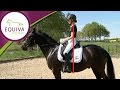 EQUIVA Dressurserie Teil 1 Der Richtige Sitz