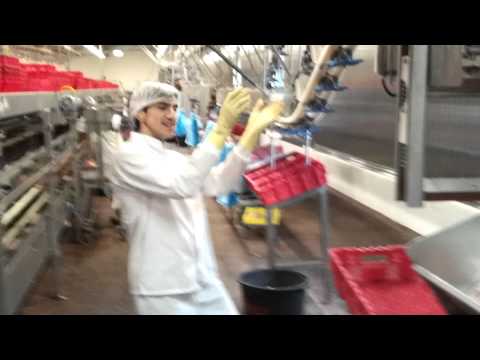 his Turkish Gypsy dance