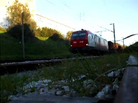 CP 4709 + Areia (Alcácer, 2010.02.01)