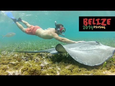 Scuba Diving & Snorkeling in Belize - 2014