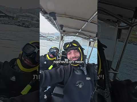יצאתי לשחות עם הטורף הכי גדול בעולם!! 🫍
