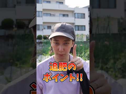 なぜピーマンの苗が育たないのでしょうか？原因と解決策、メンテナンスのヒント  庭園