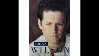 Brian Wilson - Rio Grande (compiled demos/early versions extended edit)