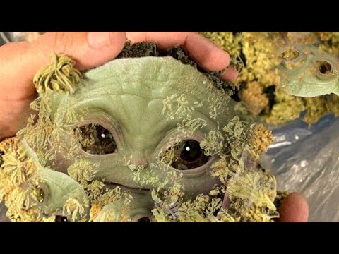 KADEMAIK, Josh025 - BABY YODA Freestyle