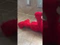 Tickle Me Elmo Danger Alert